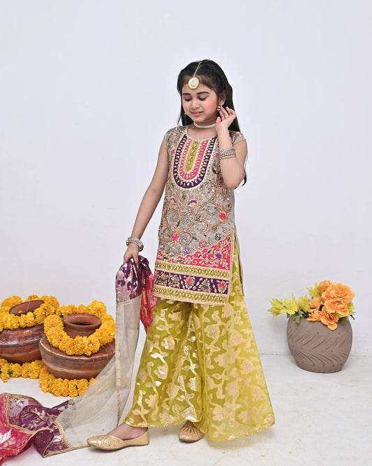 HH-783-Vibrant Multicolor Embroidered Dress – Traditional Festive Wear