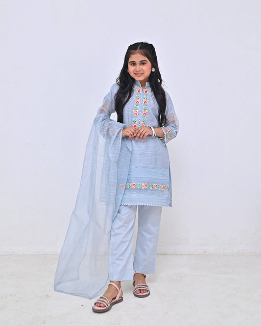 HH-810-Light Blue Embroidered Kurta – Elegant Casual Ethnic Wear